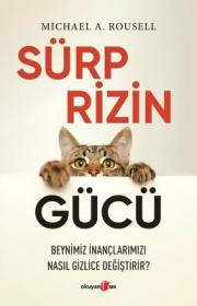 Sürprizin Gücü