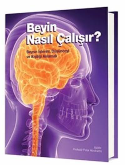 Beyin Nasıl Çalışır