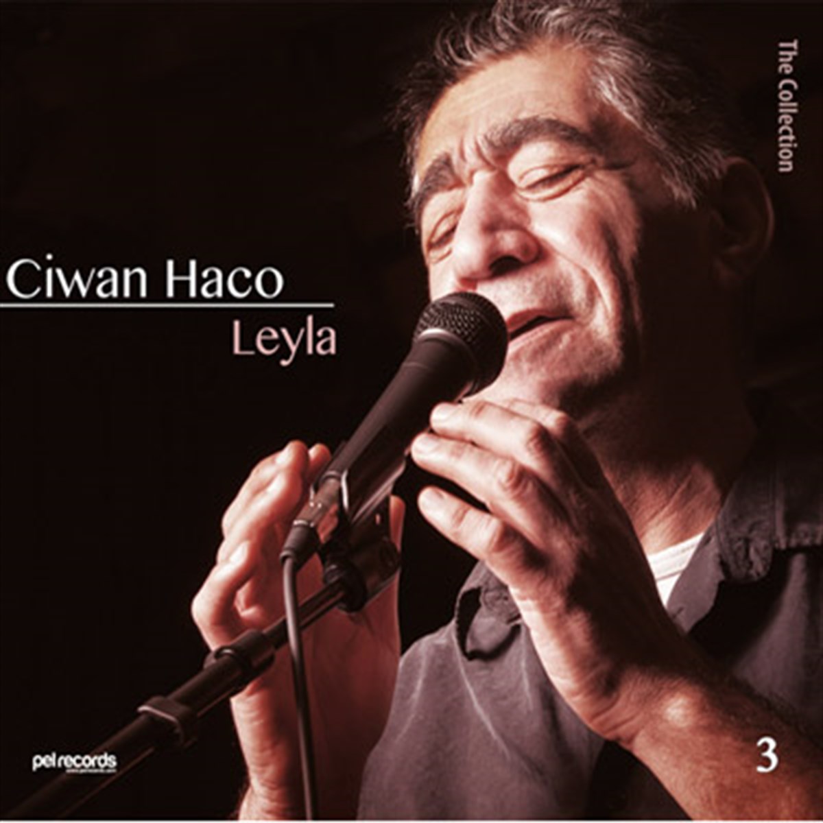 Ciwan Haco - Leyla