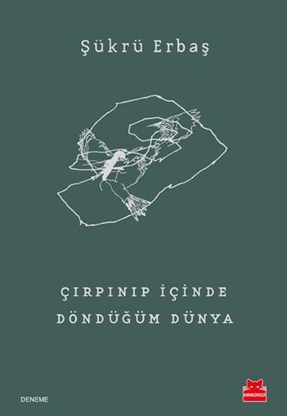 Çırpınıp İçinde Döndüğüm Dünya