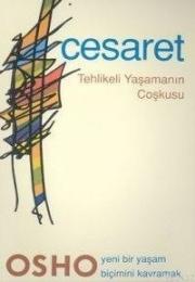 Cesaret - Tehlikeli Yaşamanın Coşkusu