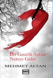 Bir Gecelik Aşklar Nereye Gider