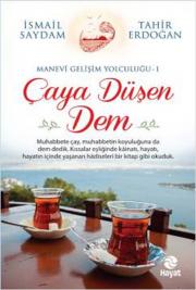 Çaya Düşen Dem