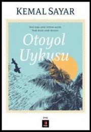 Otoyol Uykusu