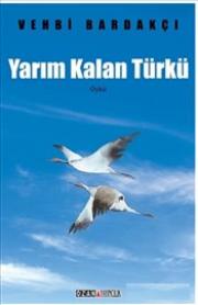 Yarım Kalan Türkü