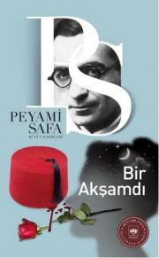 Bir Akşamdı