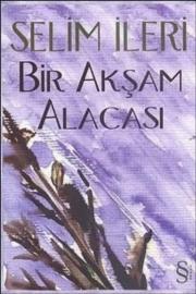 Bir Aksam Alacasi