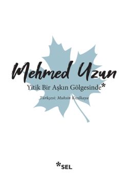 Yitik Bir Aşkın Gölgesinde