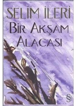 Bir Aksam Alacasi