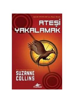 Ateşi Yakalamak