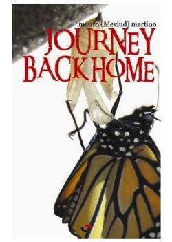 Journey Back Home
