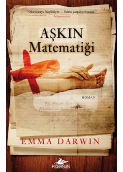 Aşkın Matematiği