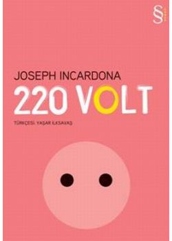 220 Volt