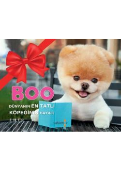 Dünyanın En Tatlı Köpeği BOO