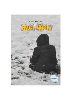 Noel Ağacı