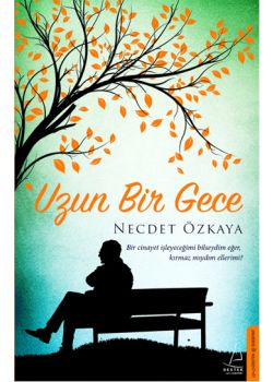 Uzun Bir Gece