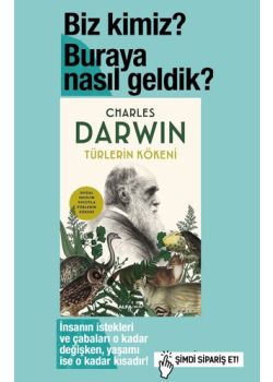 Türlerin Kökeni