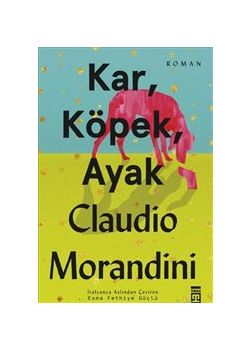 Kar, Köpek, Ayak