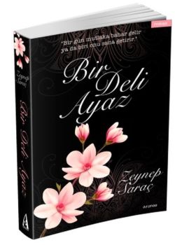 Bir Deli Ayaz