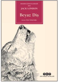 Beyaz Diş