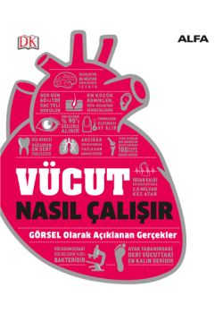Vücut Nasıl Çalışır 