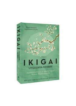 Ikigai - Uygulama Rehberi 