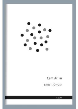 Cam Arılar