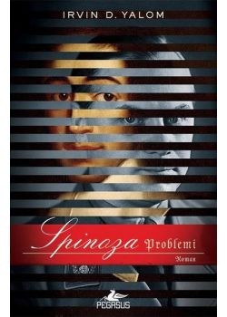 Spinoza Problemi