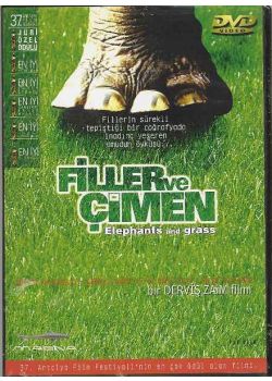 Filler ve Cimen