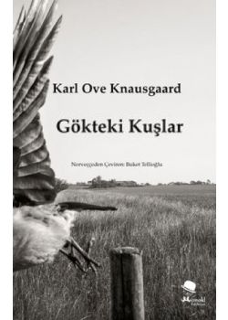 Gökteki Kuşlar