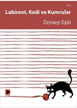 Labirent Kedi ve Kumrular