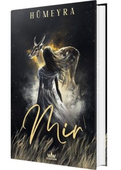 Mir