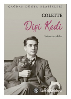 Dişi Kedi