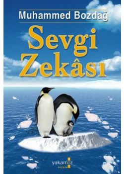 Sevgi Zekasi