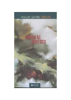 Dedim ki Poyraza