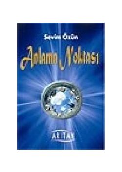 Anlama Noktası