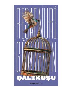 Çalıkuşu - Reşat Nuri Güntekin'in Ölümsüz Eseri!