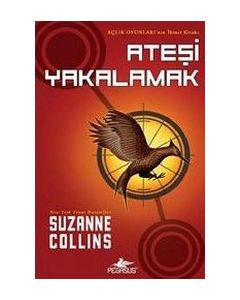 Ateşi Yakalamak