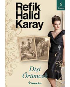 Dişi Örümcek