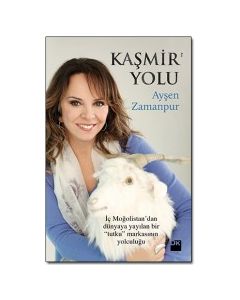 Kaşmir Yolu
