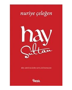 Hay Sultan  Bir Abdülkadir Geylani Romanı