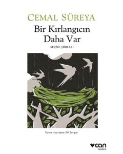 Bir Kırlangıcın Daha Var