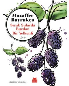 Sıcak Sularda Buzdan Bir Yelkenli