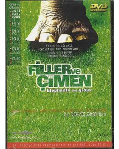 Filler ve Cimen