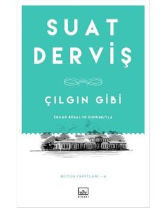 Çılgın Gibi