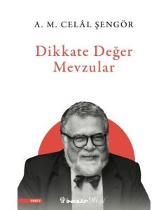 Dikkate Değer Mevzular