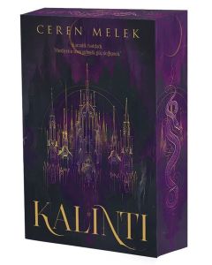 Kalıntı