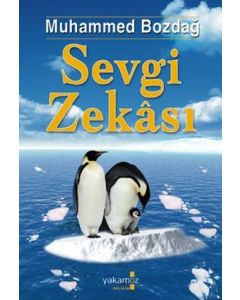 Sevgi Zekasi