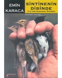 Sintinenin Dibinde